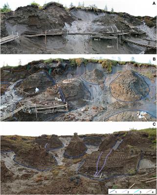 Structural Properties of Syngenetic Ice-Rich Permafrost, as Revealed by Archaeological Investigation of the Yana Site Complex (Arctic East Siberia, Russia): Implications for Quaternary Science 